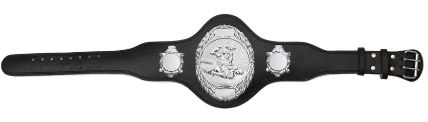 MMA CHAMPIONSHIP BELT-PLT286/S/MMAS-4 COLOURS MMA CHAMPIONSHIP BELT-PLT286/S/MMAS-4 COLOURS
